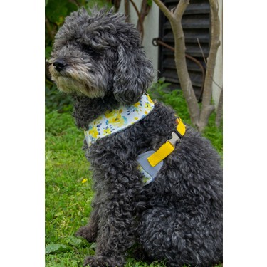 Oli And Lui Flower Yellow Kopek Govde Tasmasi Fiyati Oli And Lui Flower Yellow Kopek Govde Tasmasi Fiyati