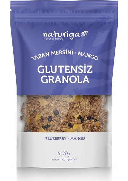 Glutensiz Yaban Mersini & Mango GRANOLA(250GR)