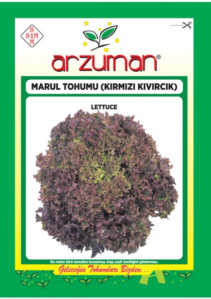 Kırmızı Kıvırcık Marul Tohumu 5 gr 3750 Ad Tohum