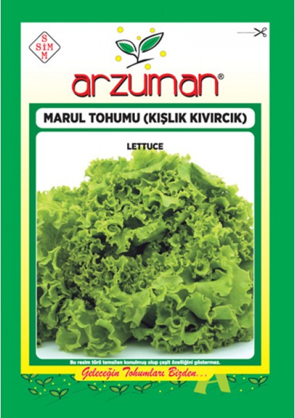 Kışlık Kıvırcık Marul Tohumu 10 gr 7500 Ad Tohum