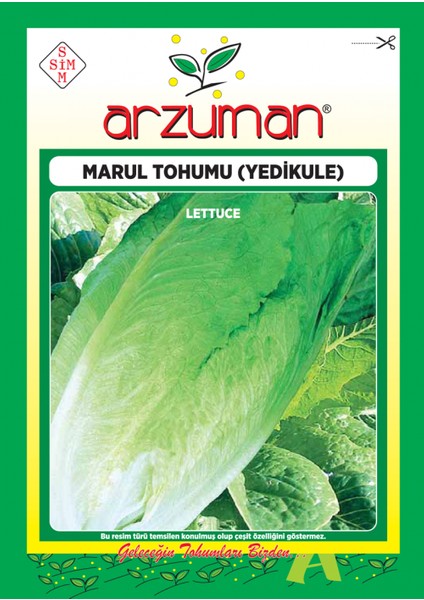 Yedikule Marul Tohumu 10 gr 7500 Ad Tohum