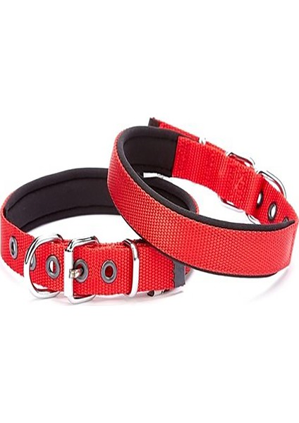Konforlu Dokuma Küçük Irk Köpek Boyun Tasması Kırmızı 2X30-35 cm