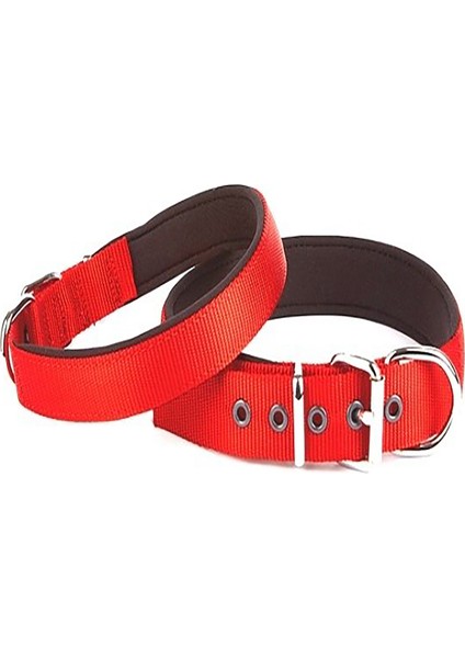 Köpek Tasması Kırmızı Köpek Boyun Tasması Medium