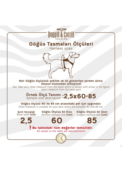 Konforlu Dokuma Orta Irk Köpek Göğüs Tasması Siyah M 2X45-55 cm