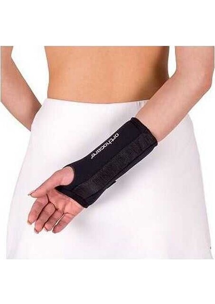 4511 El Bilek Ateli Large / Sol