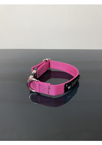 Leash Shop Leash Shop köpek Boyun Tasma Takımı Fuşya (30-45 Cm)