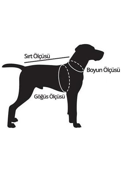 Leash Shop -Haki- Köpek Göğüs Bel Tasma Takımı Xxl Beden (75-85 Cm)