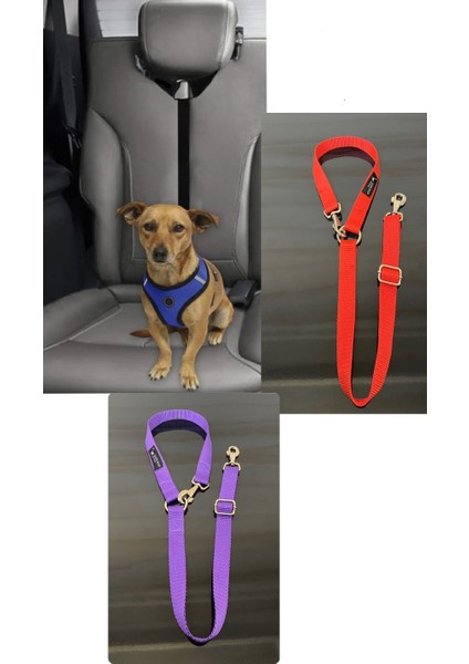 Leash Shop Araba Köpek Emniyet Kemeri & Oto Evcil Hayvan Araç Tasması Yeşil