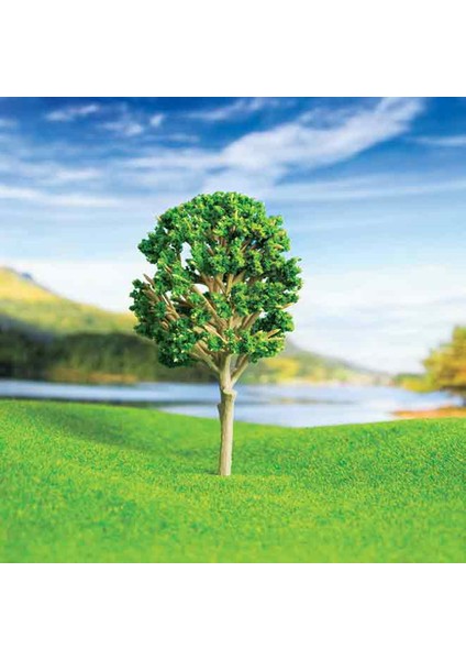 9 cm 2'li Ceviz Ağacı