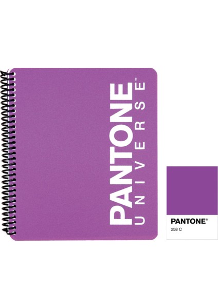 Pantone Pp Kapak Large Boy Çizgili Defter Mor 93004-6