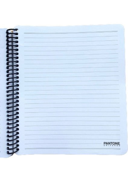 Pantone Pp Kapak Large Boy Çizgili Defter Mor 93004-6 fiyatları