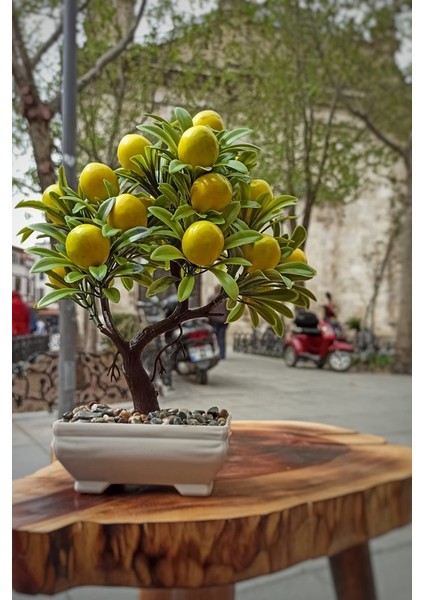 Krd Home 5638 Dikdörtgen Saksılı Limon Ağacı
