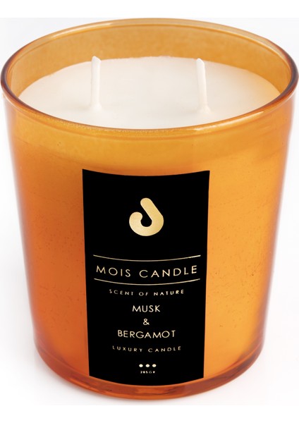 Musk & Bergamot Meyve Kokulu Çift Fitilli 365 gr Bardak Mum