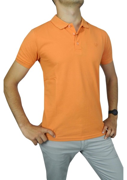 Erkek Polo Yaka Pike T-Shirt 2050 BGL-ST01021 fiyatları