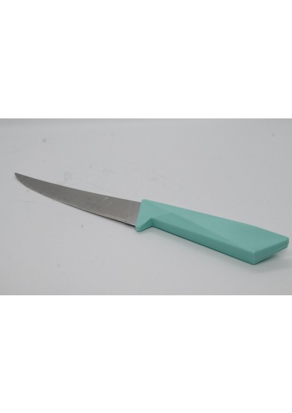 Meyve, Sebze Bıçağı Tırtıklı Renkli modelleri