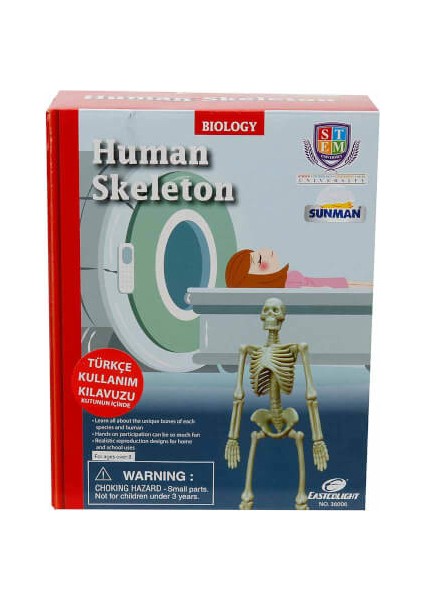Bilim Seti İnsan İskeleti fiyatları
