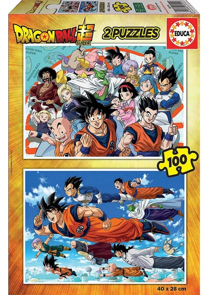 Puzzle 2X100 Parça Dragon Ball 18214