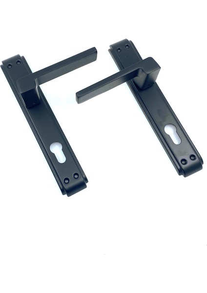 Anka/anka Aynalı (Yale) Kapı Kolu Mat Siyah