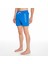 Volt Erkek Volley Short 4