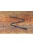 Çelik Vegvisir Savaşçı Pusula Viking Kolye 4