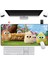 Chick Speed Kaymaz Taban Dikişli 70 x 30 cm Gaming Mouse Pad 2
