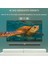 4K 60Hz Displayport To Displayport Kablo 5 Metre 4