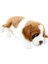 Animals Of The World Yata St. Bernard Peluş Oyuncak 39 cm 1