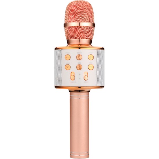 Tatu Handheld Ktv Karaoke Mikrofon Rose Gold WS-858
