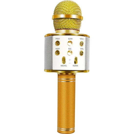 Tatu Handheld Ktv Karaoke Mikrofon Gold WS-858