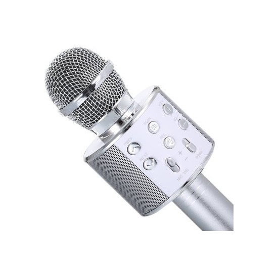 Tatu Handheld Ktv Karaoke Mikrofon Silver WS858 Fiyatı