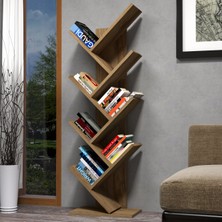 Moxen Mobilya K2 Kitaplık Ceviz