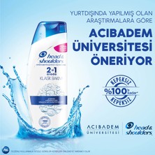 Head & Shoulders 2'si 1 Arada Şampuan Mentol Ferahlığı 250 ml