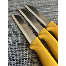 Solingen Meyve Bıçağı 6'lı Simli Hardal Sarı