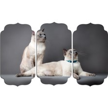 Renkselart Kedi Mdf Tablo 2537 (Model D)