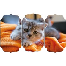 Renkselart Kedi Mdf Tablo 2557 (Model D)