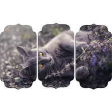 Renkselart Kedi Mdf Tablo 2531 (Model D)