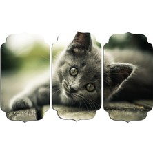 Renkselart Kedi Mdf Tablo 2556 (Model D)