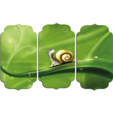 Renkselart Salyangoz Mdf Tablo 2781 (Model D)