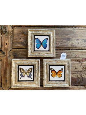 Oscar Stone Ithal Çerçeveli Taş Baskılı Duvar Tablosu Seti ( 20 x 20 Cm) 3 Lü Set -Oscar Stone Decor