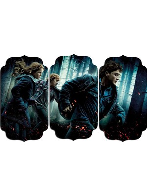 Renkselart Harry Potter Mdf Tablo 2993