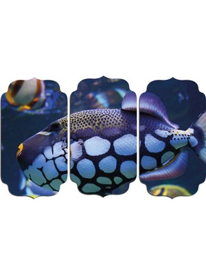 Renkselart Deniz Altı Balıklar Mdf Tablo 1800 (Model D)