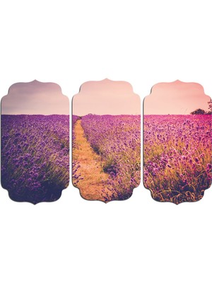 Renkselart Lavanta Mdf Tablo 0762 (Model D)