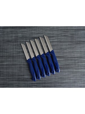 Solingen Meyve Bıçağı 6'lı Simli Lacivert
