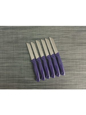 Solingen Meyve Bıçağı 6'lı Simli Mor