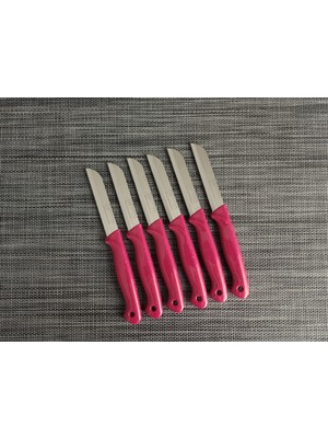 Solingen Meyve Bıçağı 6'lı Simli Pembe