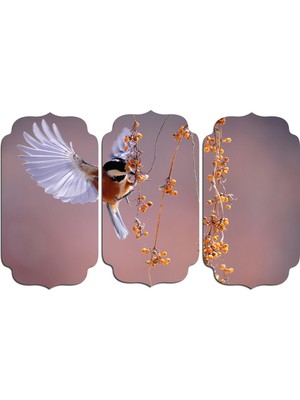 Renkselart Kuş Mdf Tablo 2693 (Model D)