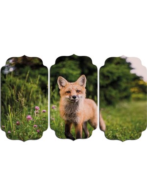 Renkselart Tilki Mdf Tablo 2763 (Model D)