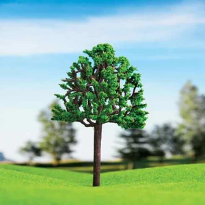 5 cm 4'lü Kavak Ağacı