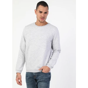 Regular Fit   Erkek Gri Sweatshirt