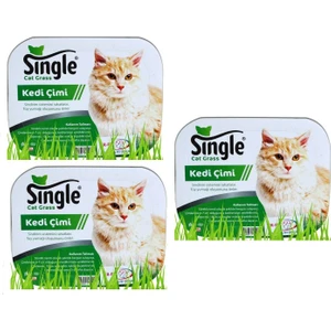 Natural Kedi Çimi (3 Adet)